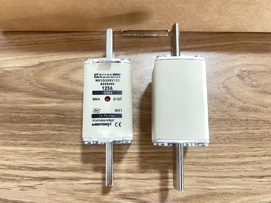 NH1GG69V125P IGBT 125A/1200V Güç Düşük Kayıplar Yüksek Verimlilik 175°C Sağlamlık Tam Izolasyon Endüstriyel ve EV Inverterleri için Kompakt Yapı